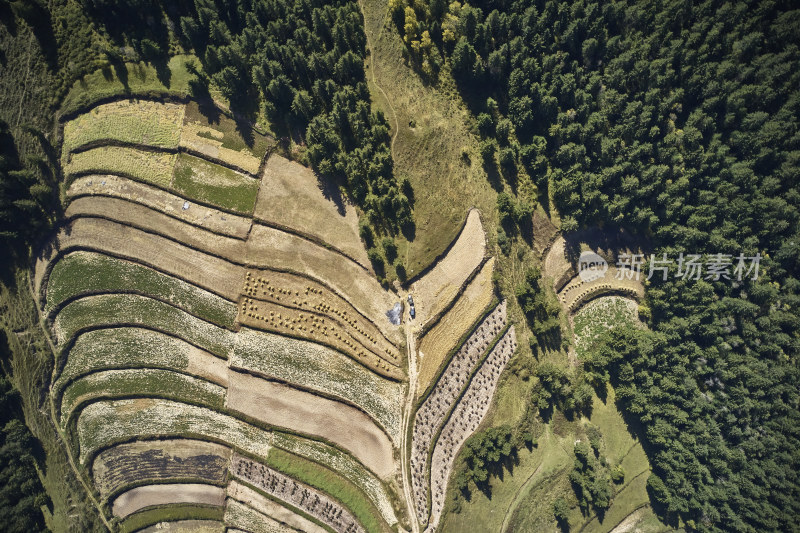 高山上的梯田