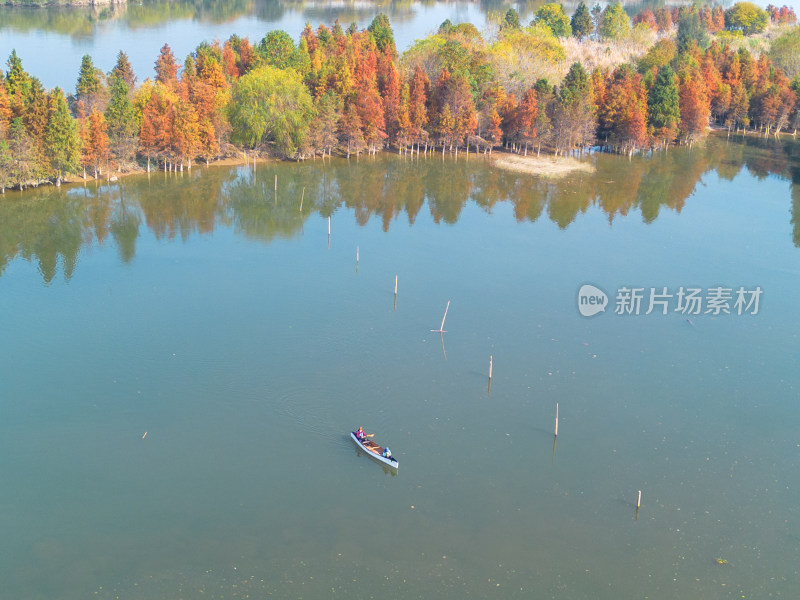 福州多彩树林沿水域分布的自然风景航拍