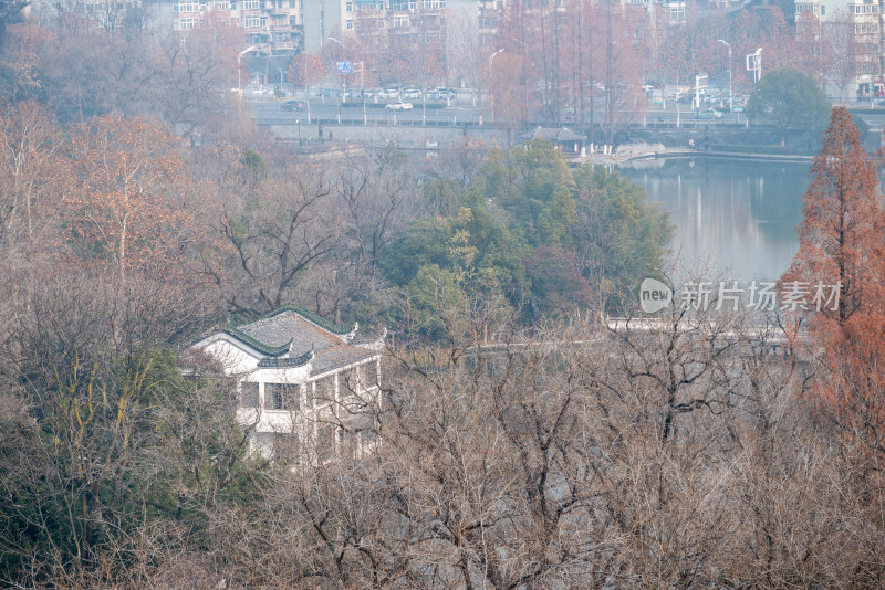 冬日，合肥市包公园湖边风景