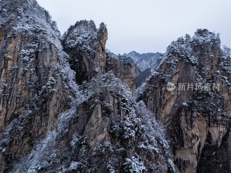 南阳老界岭冬季雪景风光