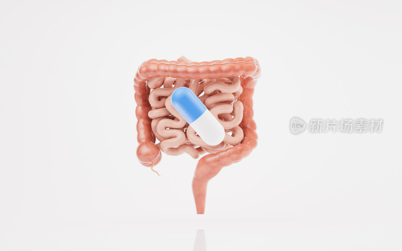 肠道器官与医药胶囊3D渲染