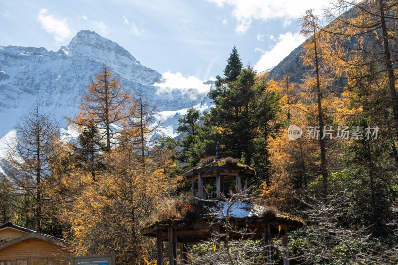 四川阿坝黄龙景区秋色山林与雪山下的木屋