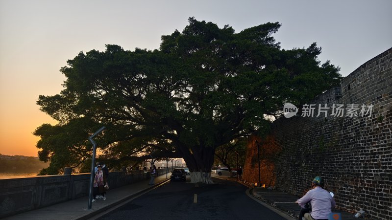 古城墙边大树下休闲场景