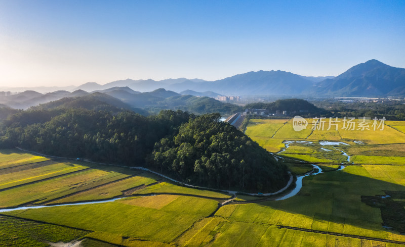 秋天的田野，金黄，丰收