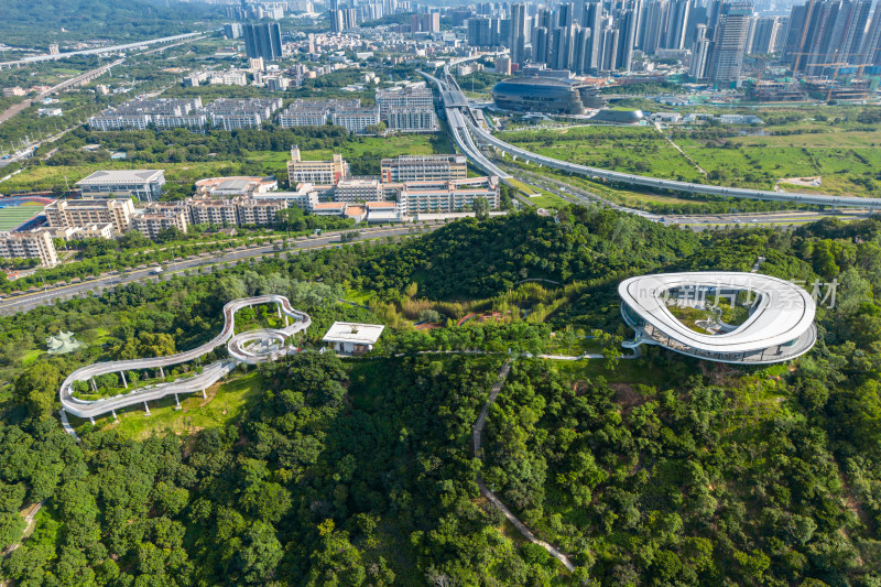 深圳市光明区科学公园观景平台科学顶