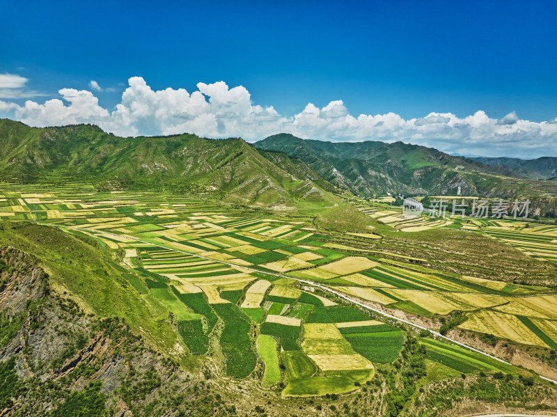 山谷中的农田