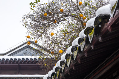 瞻园香橼雪景