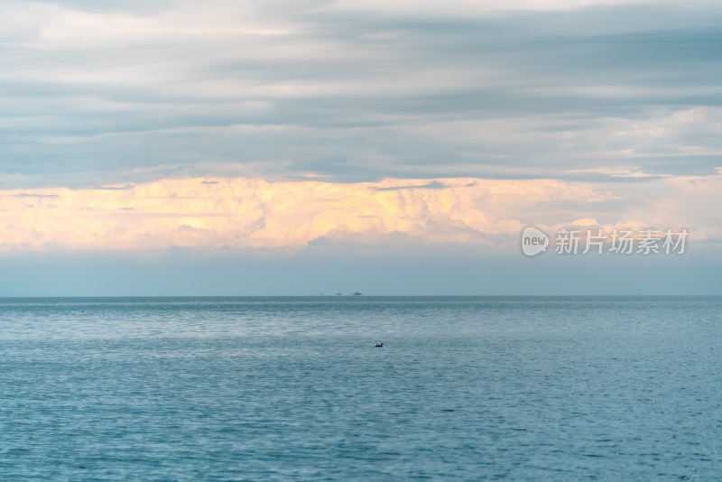 青海湖黄昏下的湖光云色，水鸟点缀宁静湖景