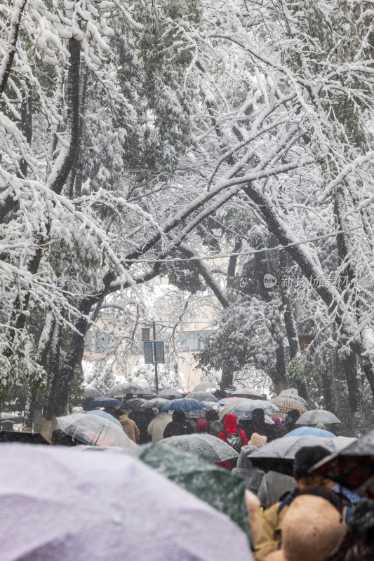 湖南大学雪景