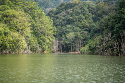 普洱茶马古道