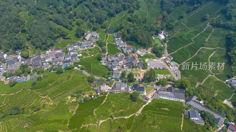 航拍杭州西湖龙井茶园 十里琅珰 龙井问茶