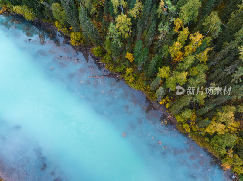 航拍新疆喀纳斯秋景