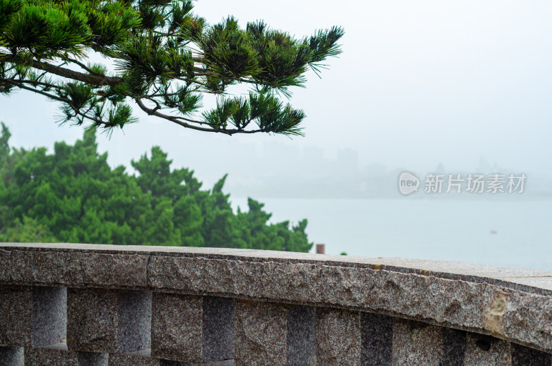 青岛小麦岛海边大雾