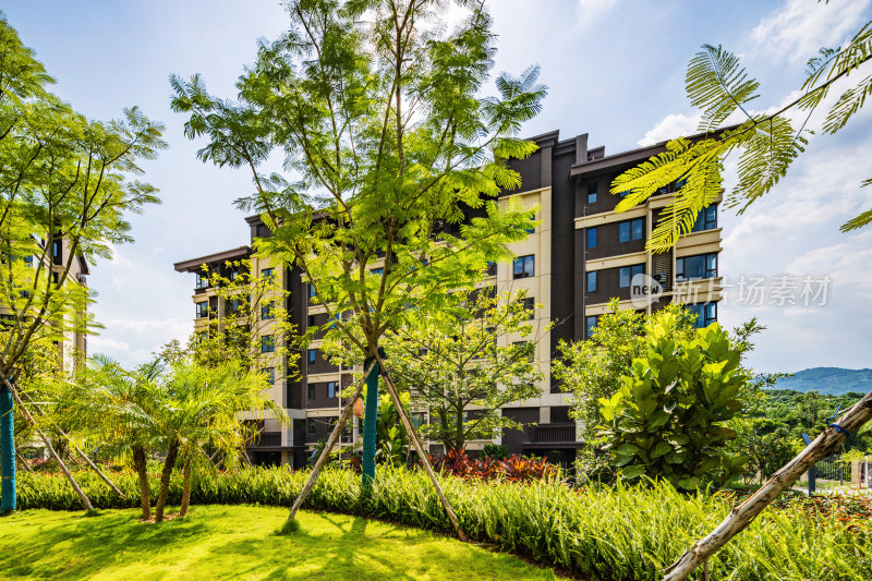 现代居住区住宅楼社区园林景观的竹林