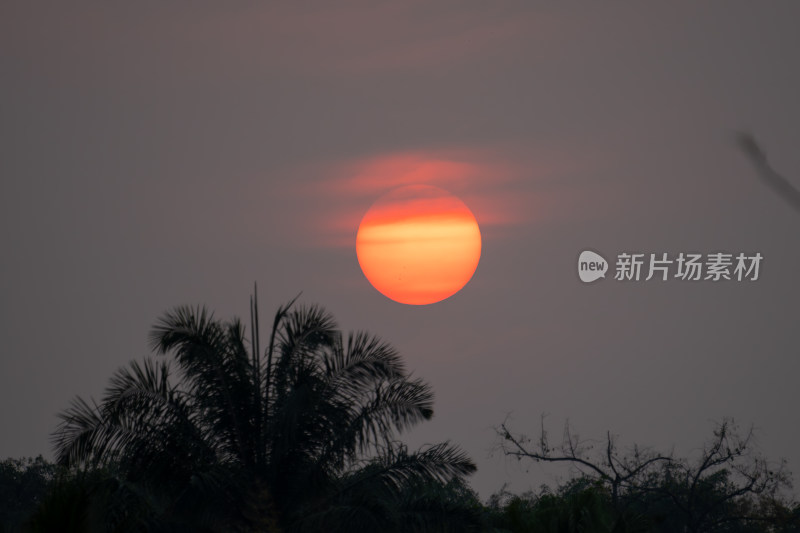 红色的夕阳