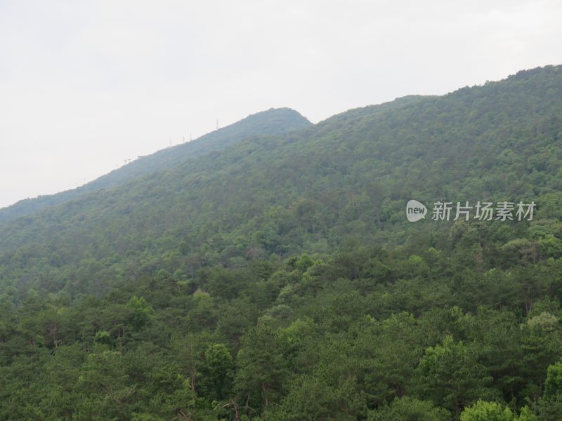 南京紫金山灵谷寺风景区