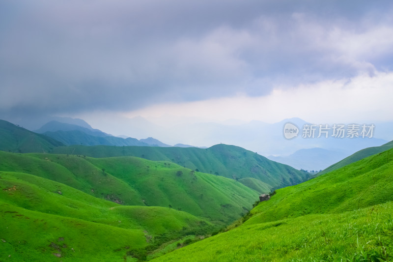 江西武功山高山草甸