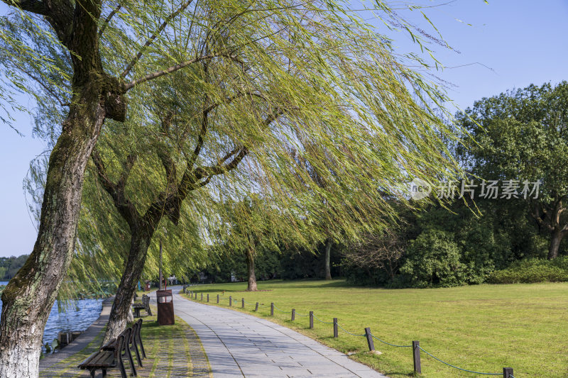 杭州西湖花港观鱼风景