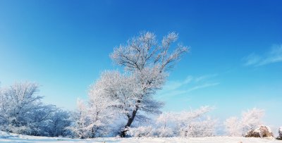 雾凇雪景