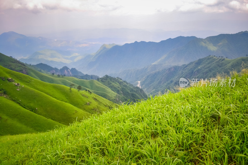 江西武功山高山草甸