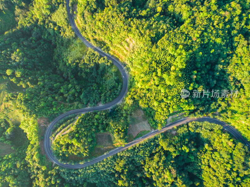 航拍山林间蜿蜒曲折的公路