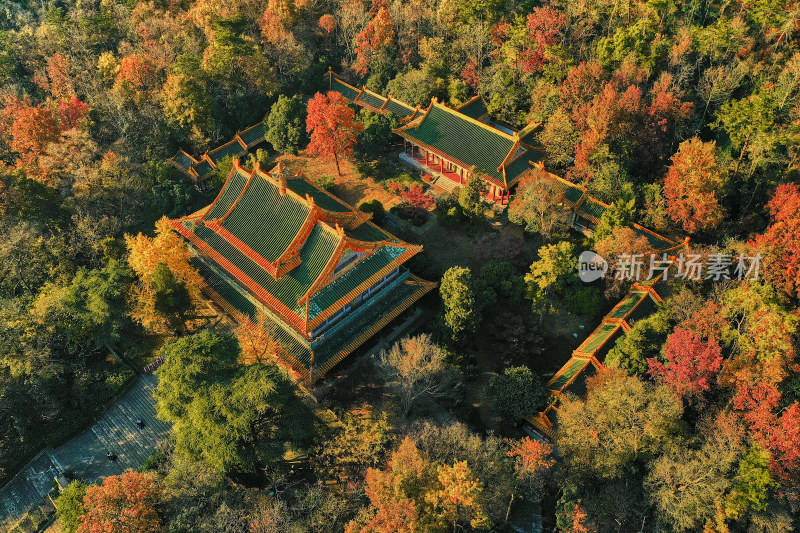 秋天的灵谷景区