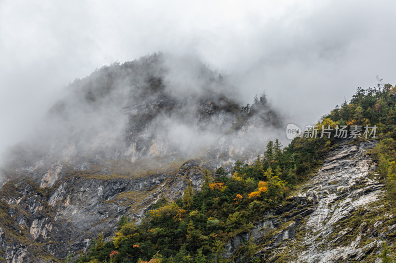 秋天树林云雾山峰