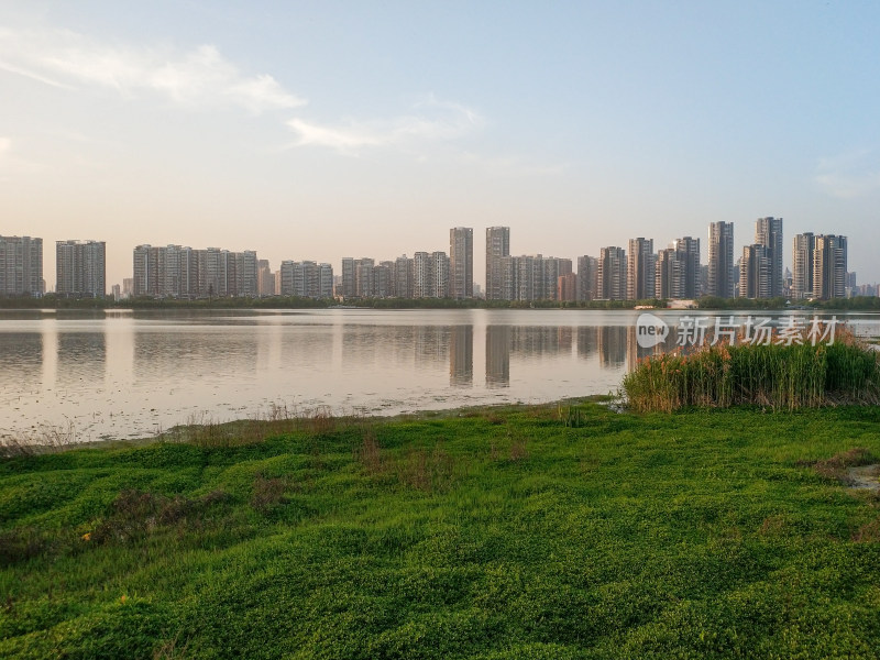 城市湖泊边的绿地与高楼相映的景象