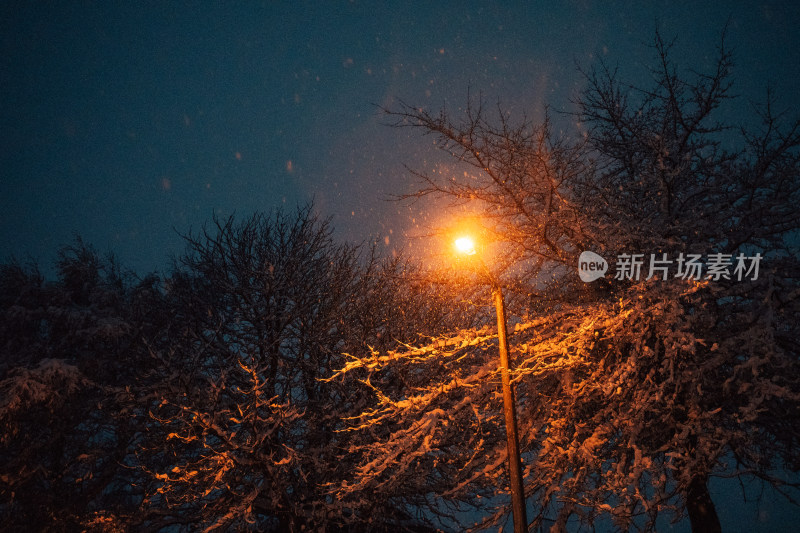 Lake Tekapo蒂卡波湖暴雪后雪景