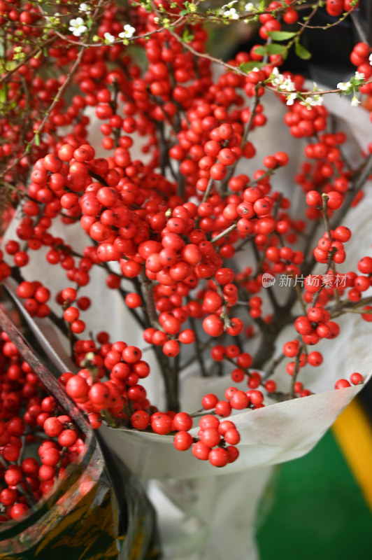 昆明斗南花市鲜花