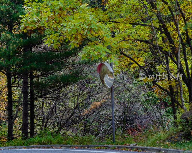 河南洛阳白云山风景区秋天的山路拐弯处