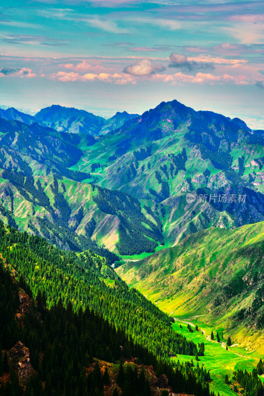 郁郁葱葱的天山