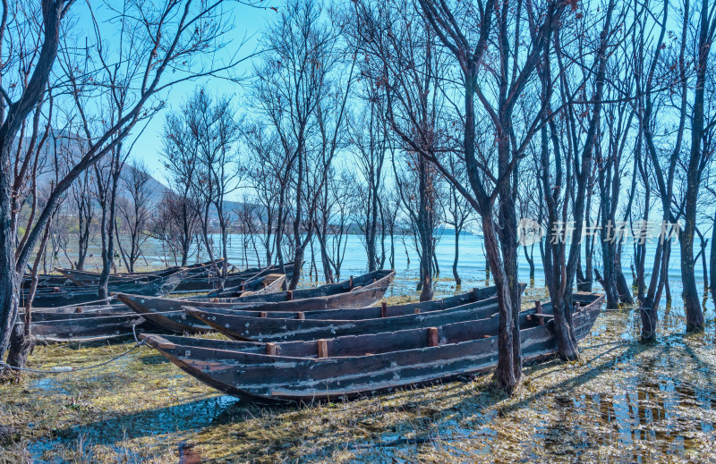 云南大理洱海湖边树林秋景与木舟渔船