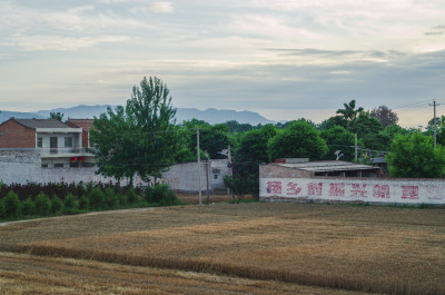 陕西渭南，芒种时节的村庄旁金色麦田