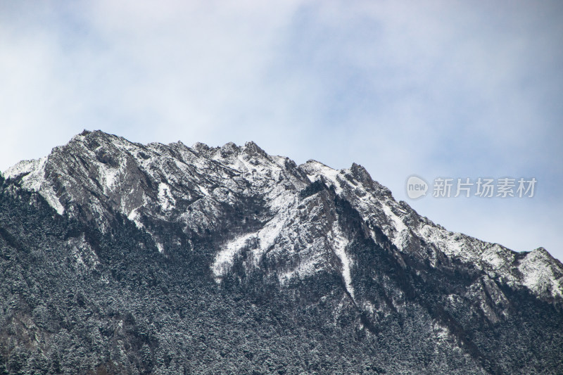 川西雪山特写