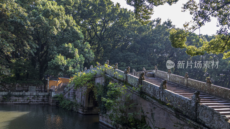 浙江普陀山法雨寺禅院建筑风光