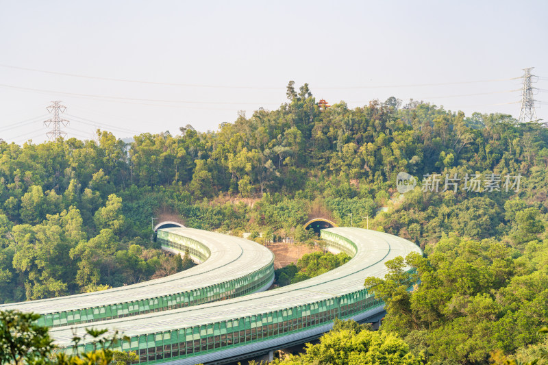 广东省深圳市罗湖区仙湖植物园自然风光