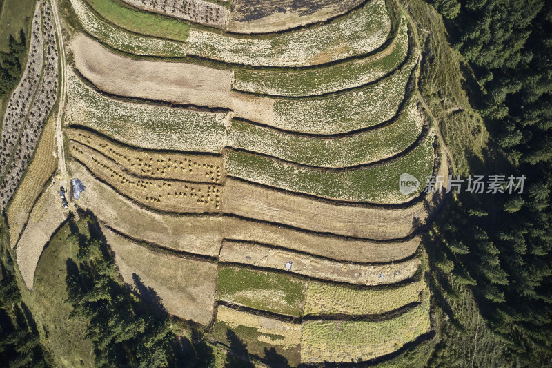 高山上的梯田