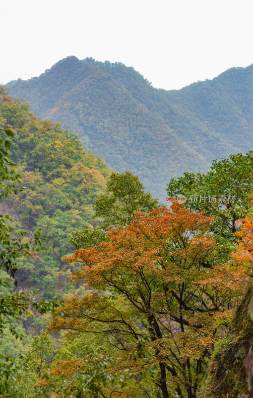 河南省洛阳白云山九龙潭秋天风景