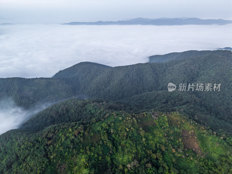 航拍云海之上的山峦