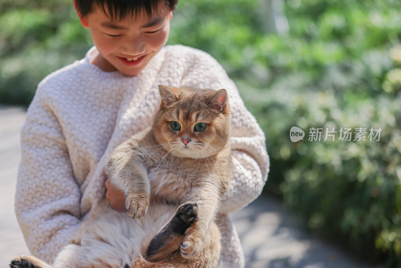 一个中国小男孩和他的宠物猫金渐层