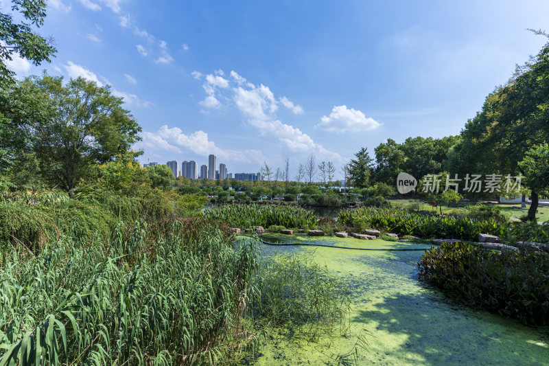 武汉蔡甸汤湖公园生态园林风景