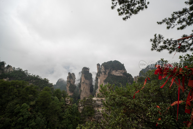 云雾缭绕的张家界奇峰异石景观