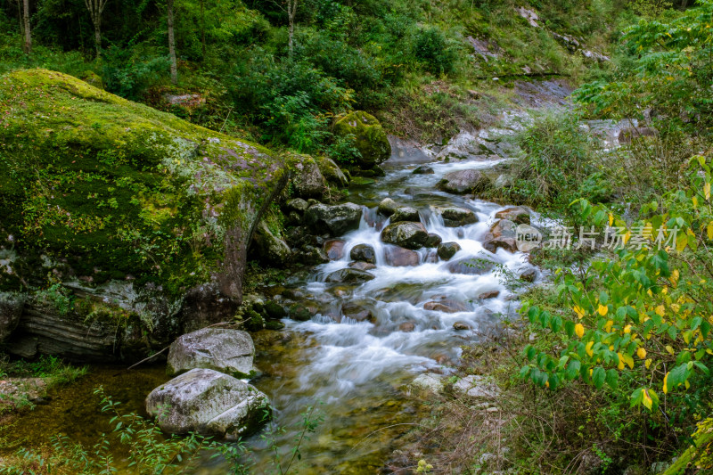 汉中留坝火烧店镇秦岭深处的山中小溪