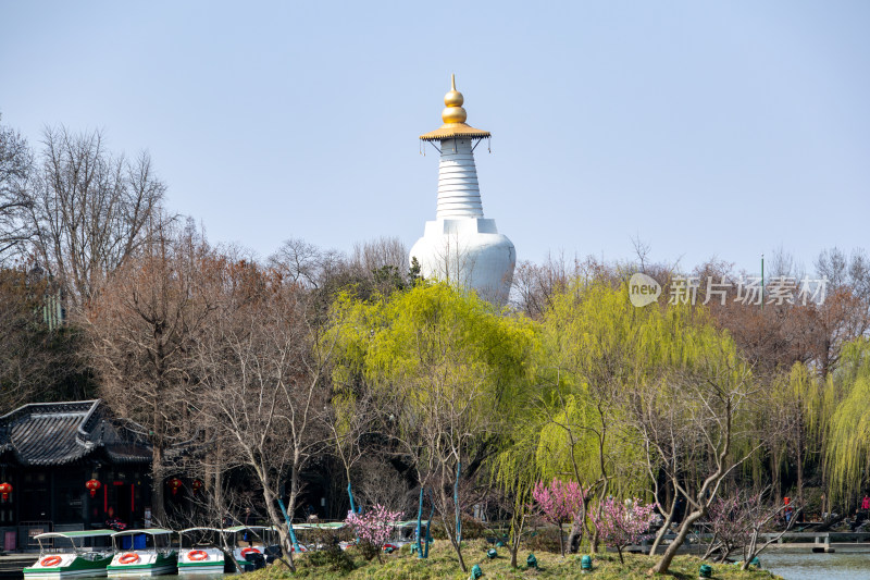 江苏省扬州市瘦西湖风景区白塔春日风光