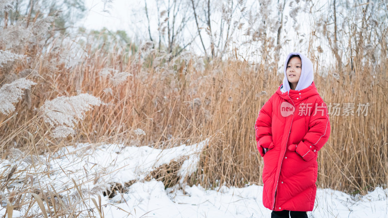 冬天在公园玩雪的中国女孩形象