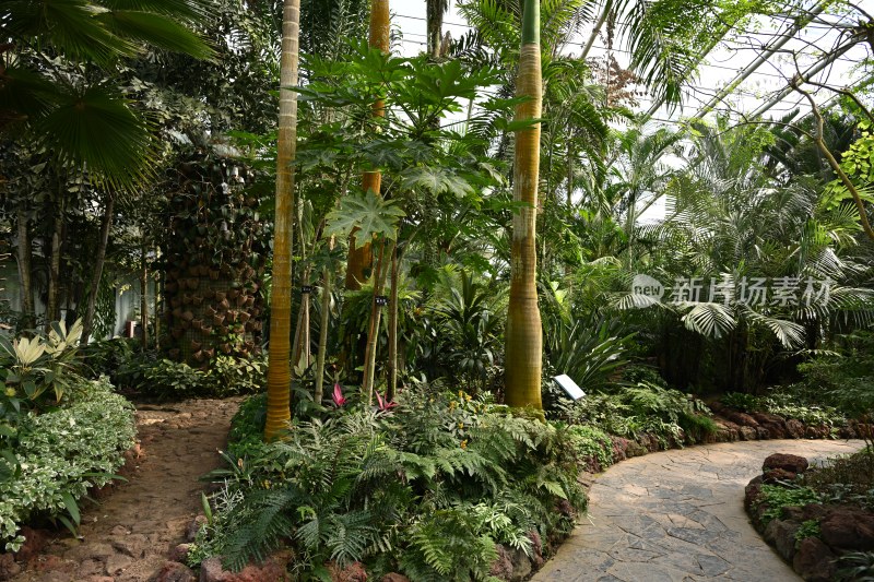 热带植物温室景观