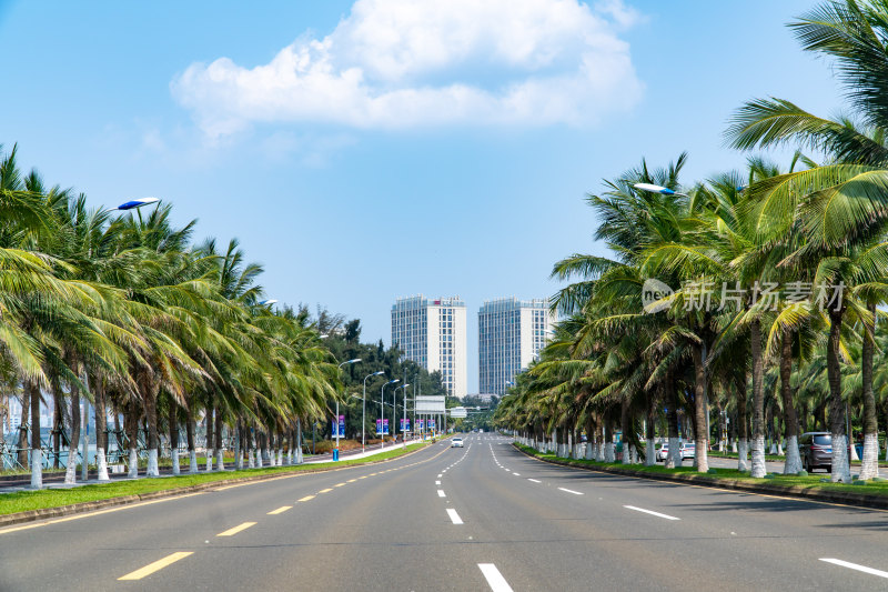 海口市滨海大道