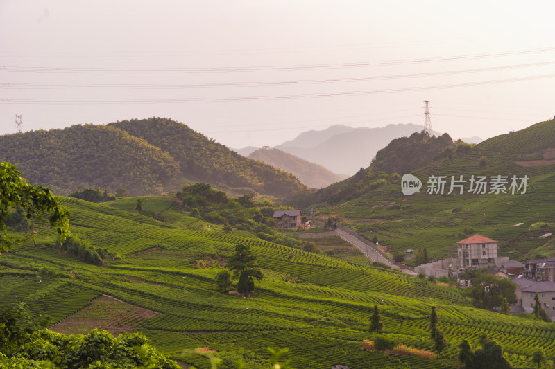 浙江杭州大朗山自然风光，在夕阳下的村庄