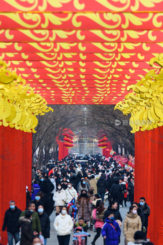 洛阳隋唐植物园新年庙会红灯笼节日气氛